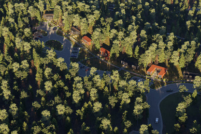 Aerial view of a forest with container houses hidden among the trees